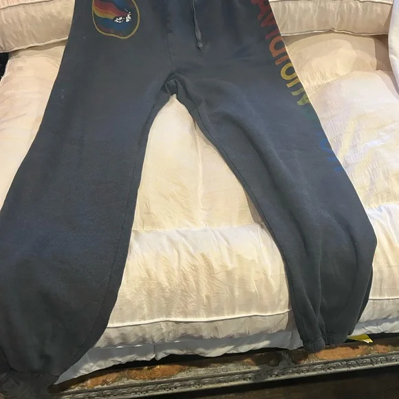 Aviator Nation Gray Joggers with Multicolor Logo - Picture 2 of 7